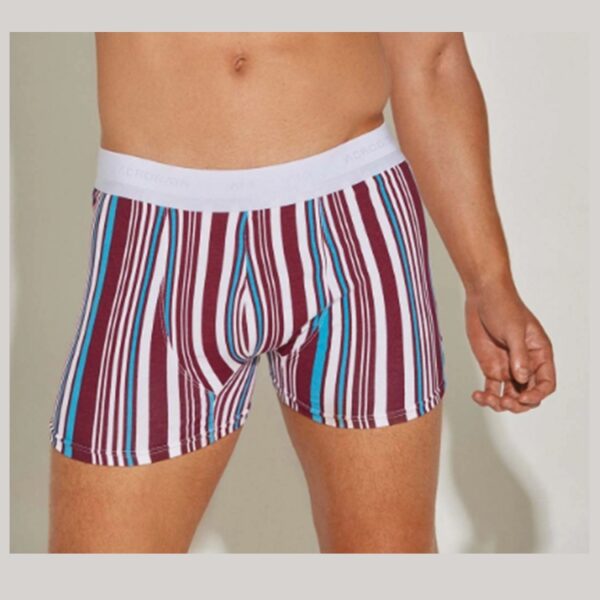 ART.AC5056 BOXER ALGODON A RAYAS VERTICAL CON ELASTICO PERSONALIZADO