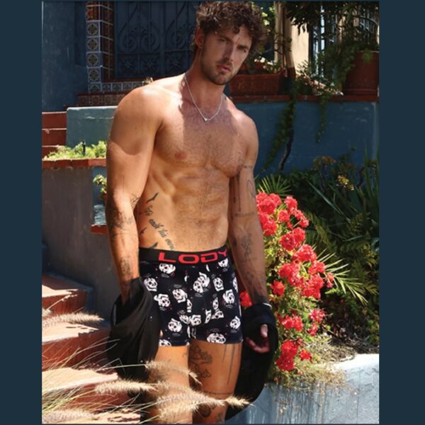 ART.LM975 BOXER ALGODON Y LYCRA ESTAMPADO STULLS